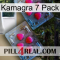 Kamagra 7 Pack 14